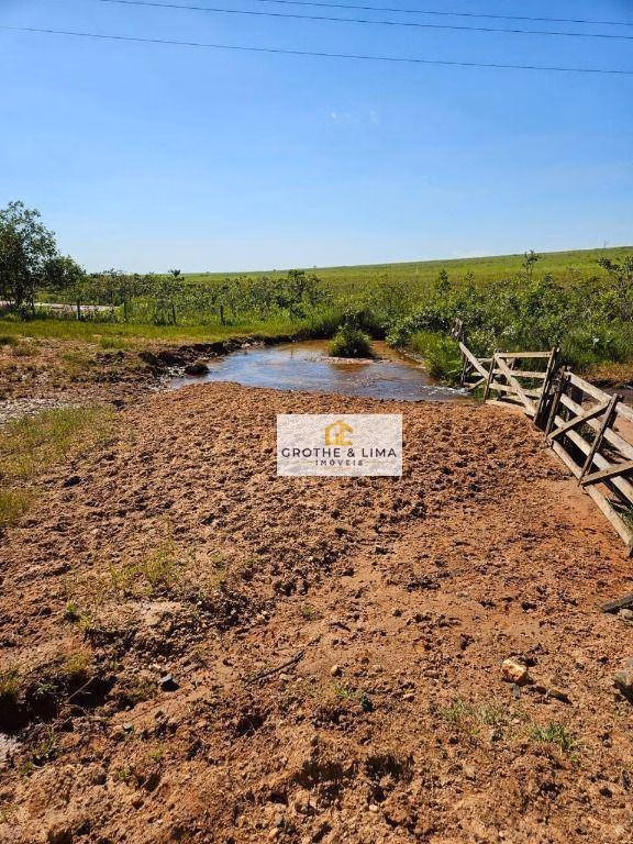 Fazenda de 1.437 ha em Ribas do Rio Pardo, MS