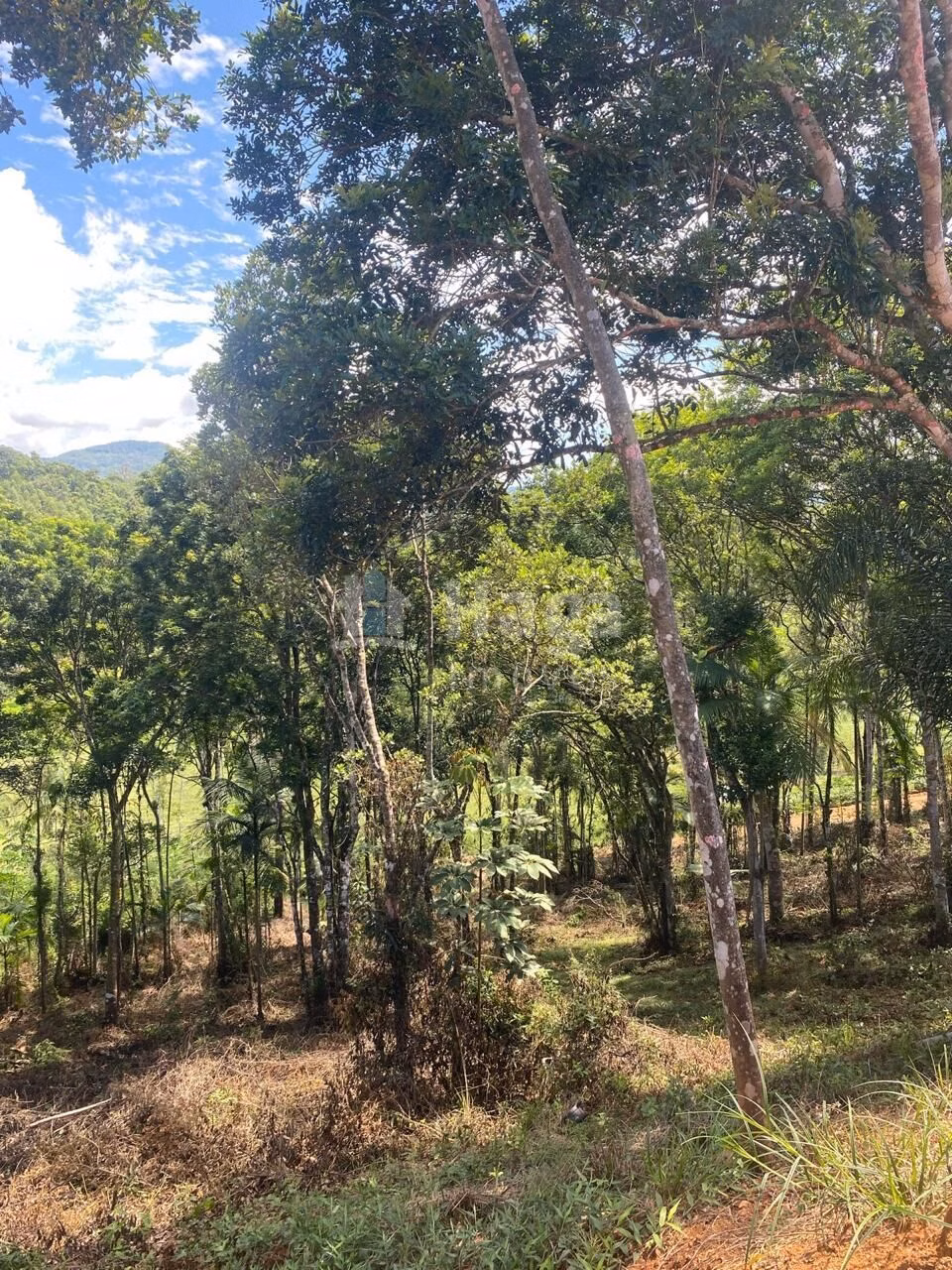 Farm of 1 acres in Canelinha, SC, Brazil