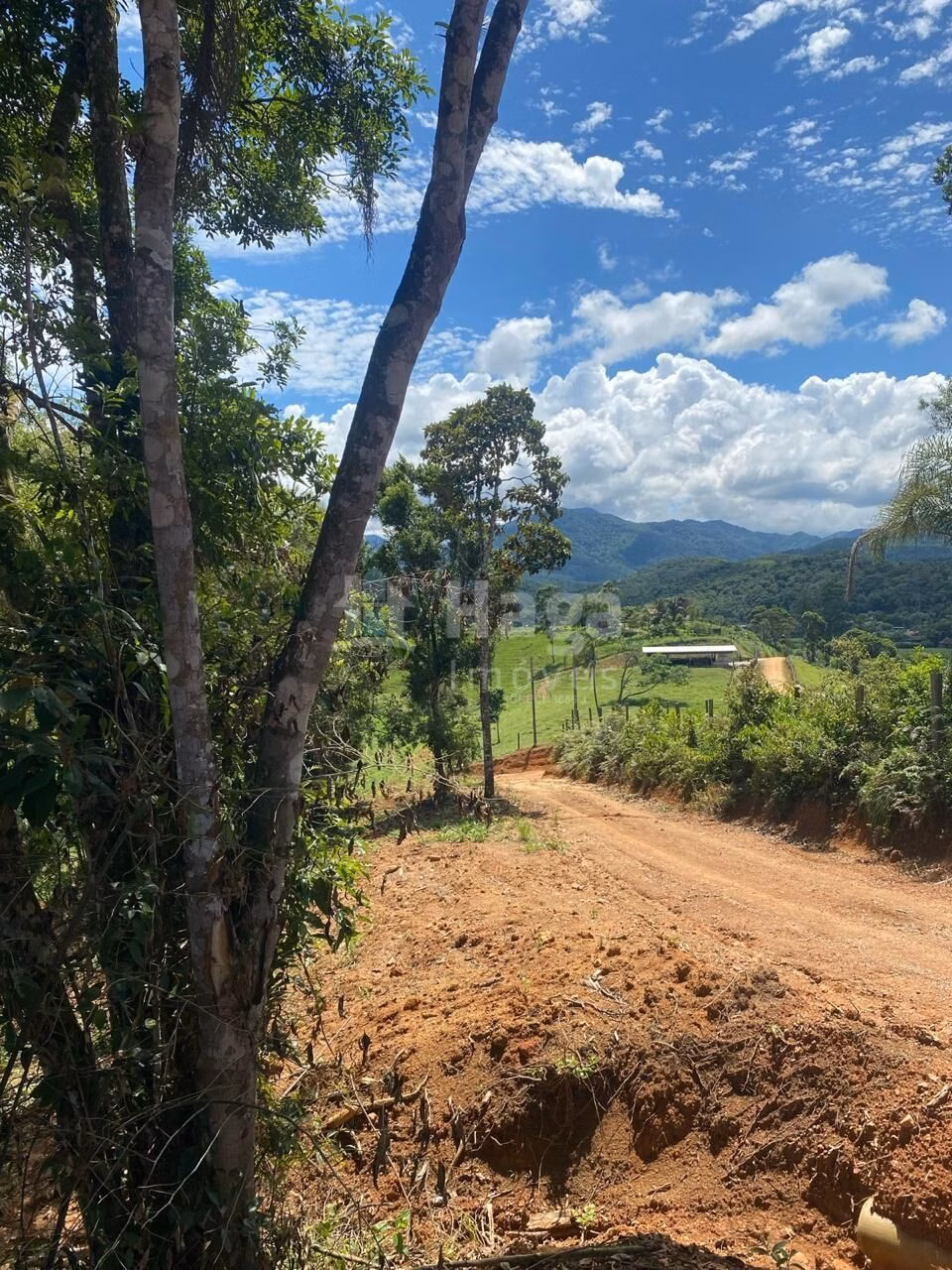Farm of 1 acres in Canelinha, SC, Brazil