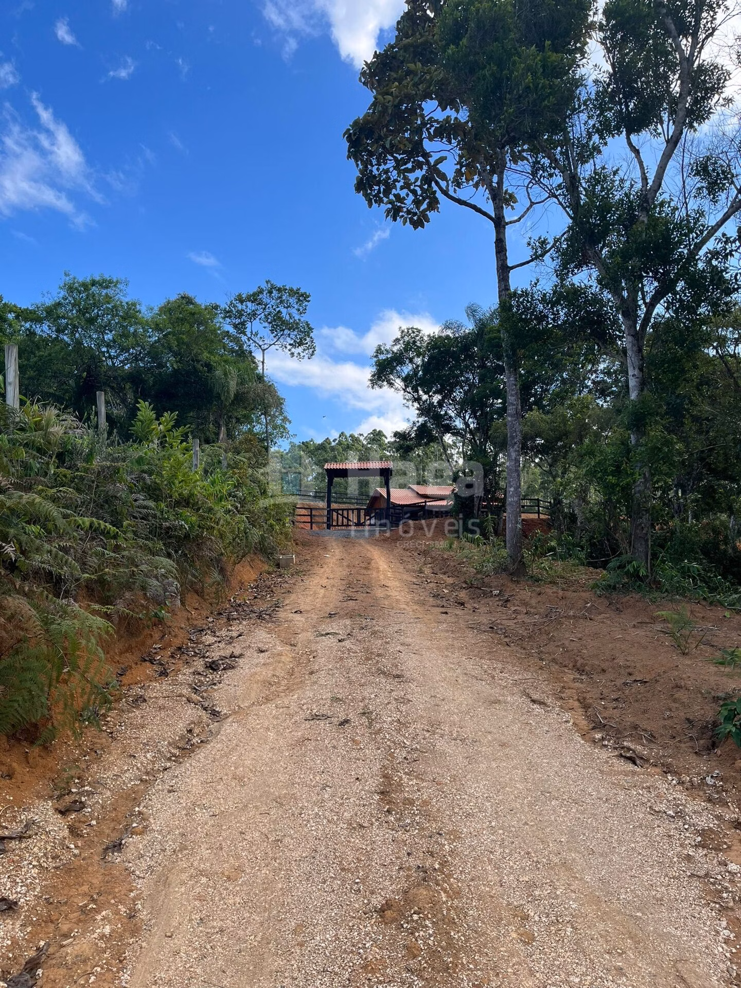 Farm of 1 acres in Canelinha, SC, Brazil