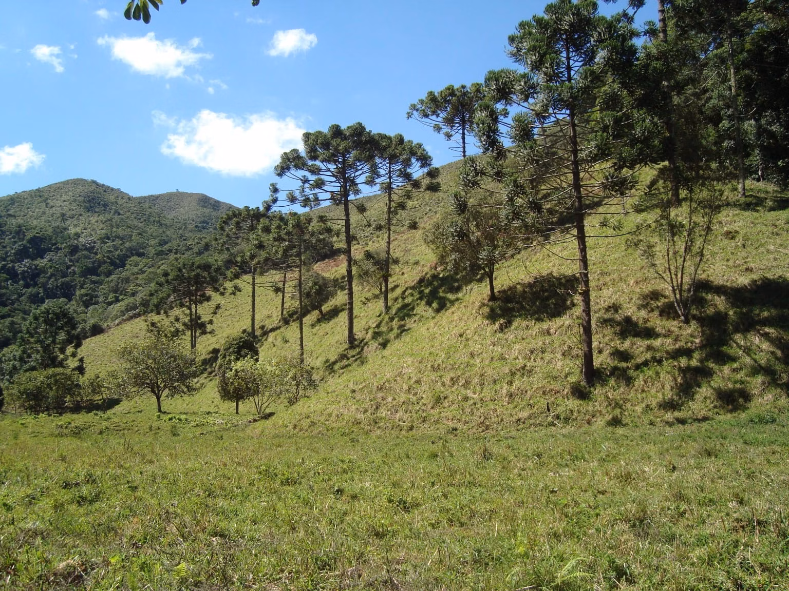 Sítio de 68 ha em São José do Barreiro, SP