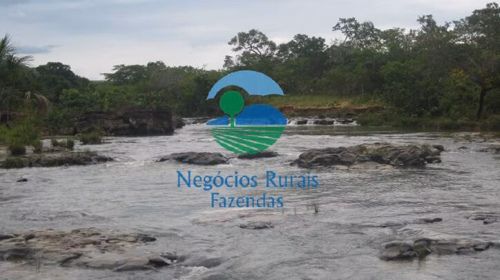 Fazenda de 346 ha em Buritis, MG