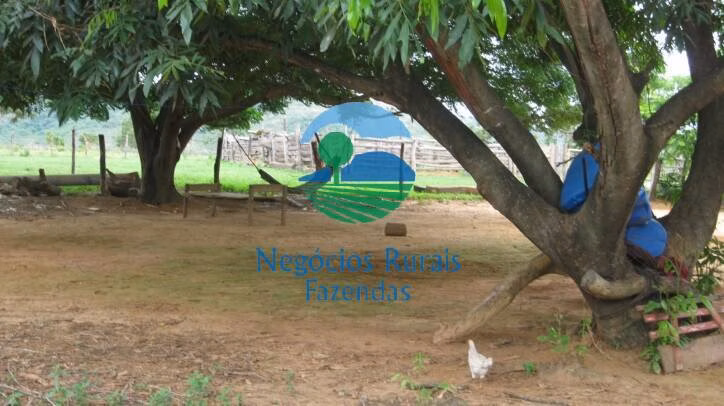 Fazenda de 346 ha em Buritis, MG