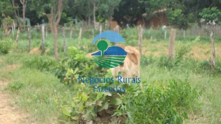Fazenda de 346 ha em Buritis, MG