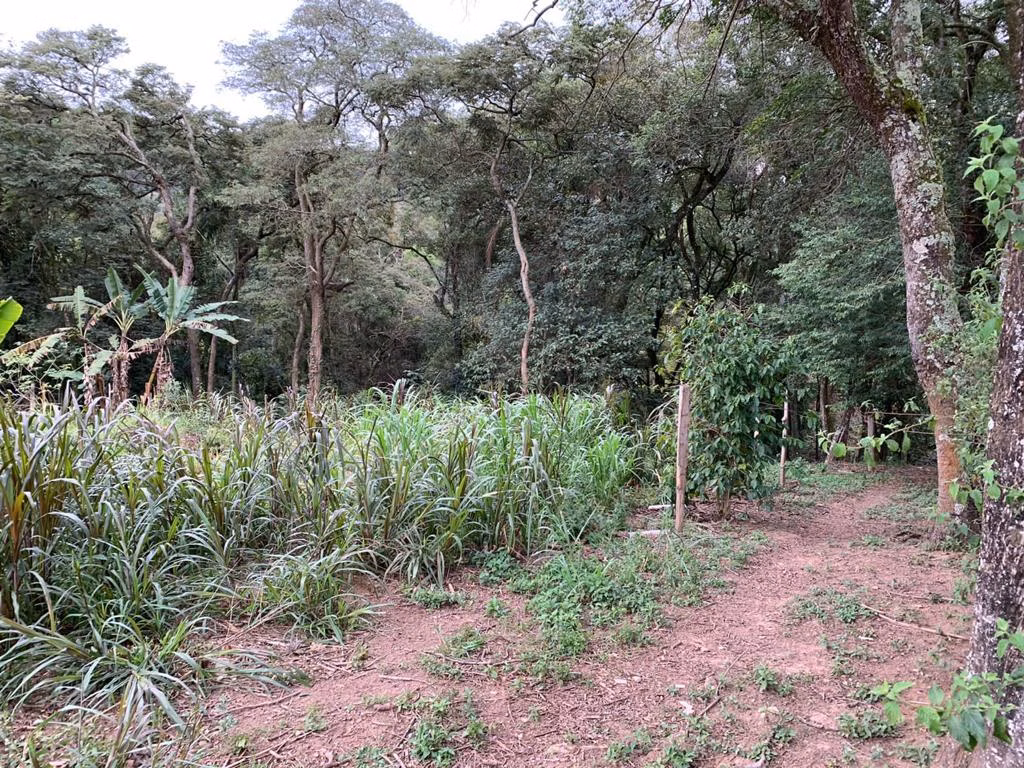 Country home of 3 acres in Mairinque, SP, Brazil