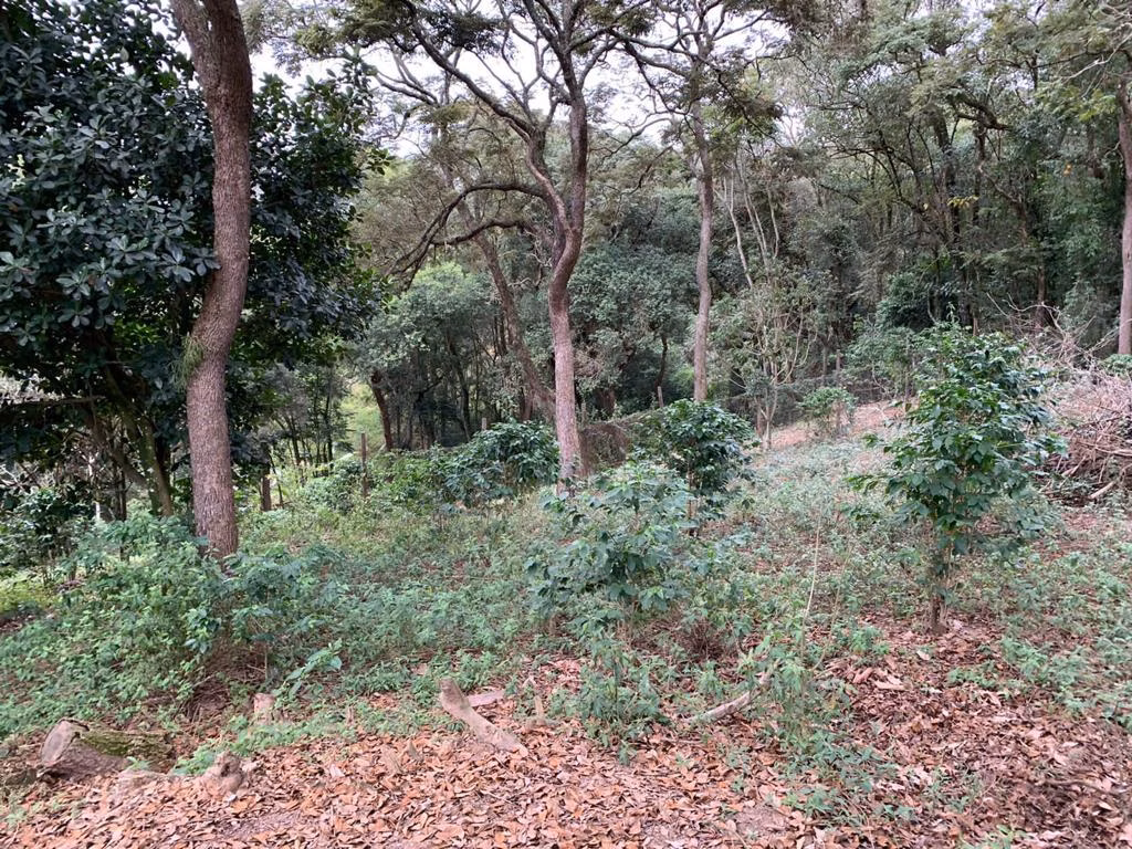 Country home of 3 acres in Mairinque, SP, Brazil