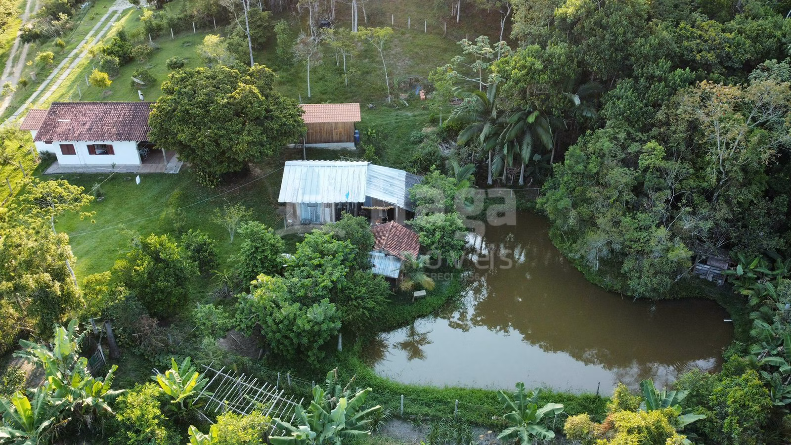 Farm of 20 acres in Canelinha, SC, Brazil