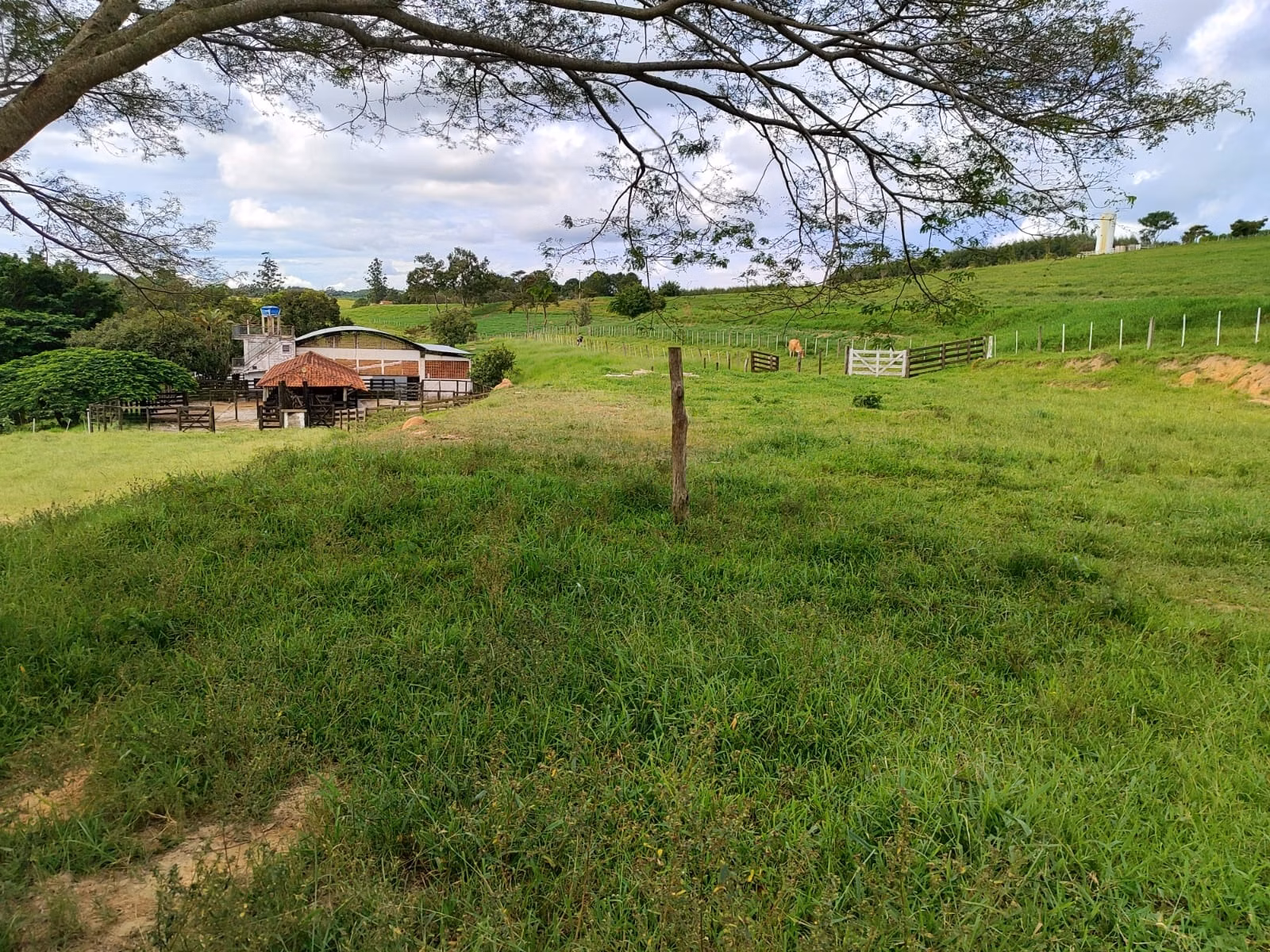 Fazenda de 128 ha em São Miguel Arcanjo, SP