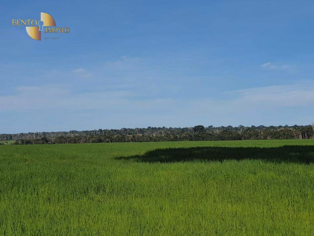 Fazenda de 3.242 ha em Nova Monte Verde, MT