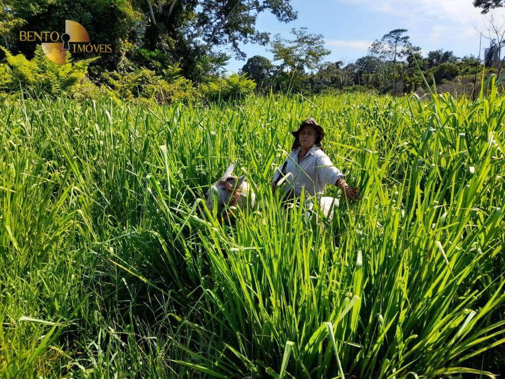 Fazenda de 3.242 ha em Nova Monte Verde, MT