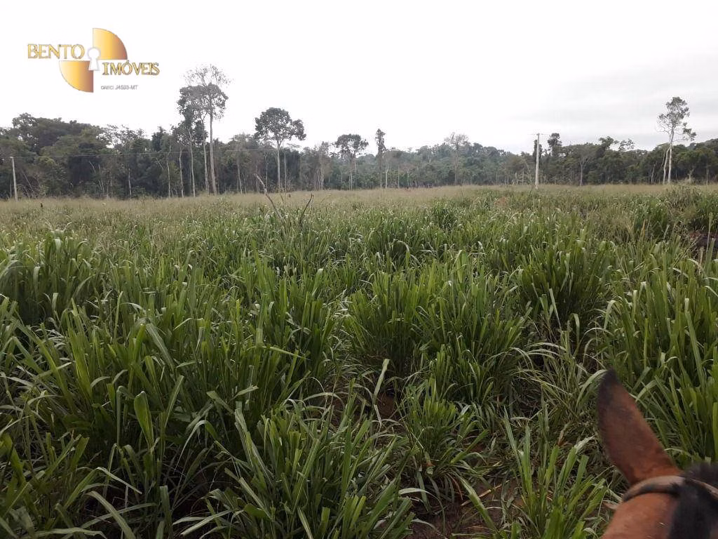 Fazenda de 3.242 ha em Nova Monte Verde, MT