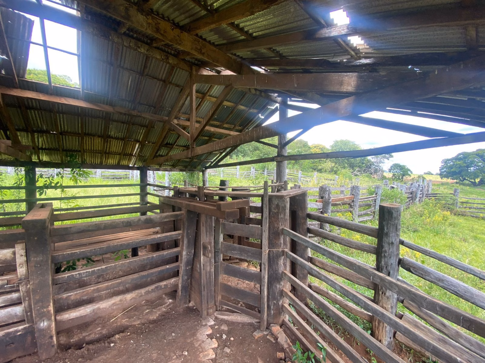 Fazenda à venda de 510 ha em Sidrolândia, MS