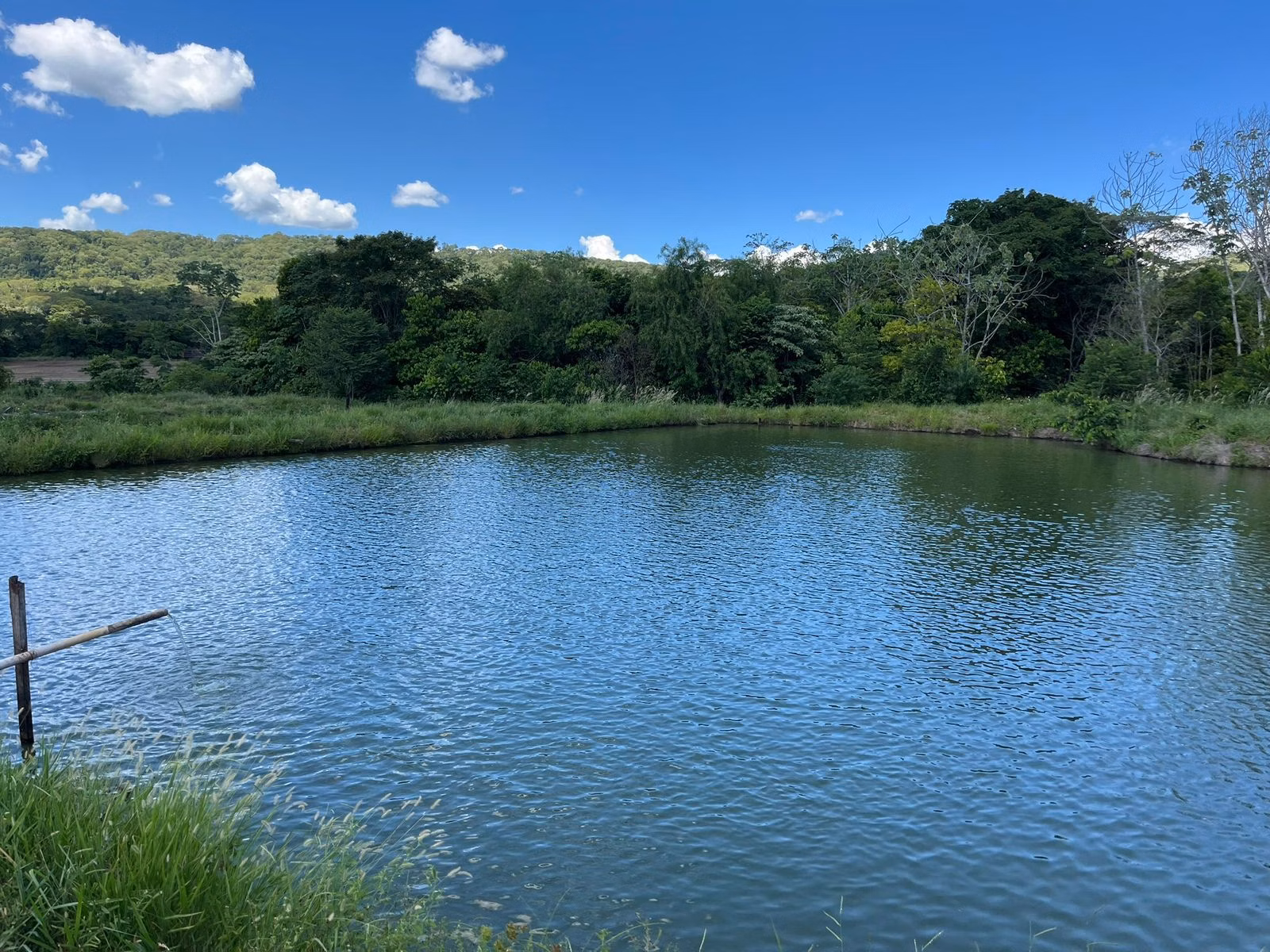 Fazenda à venda de 510 ha em Sidrolândia, MS
