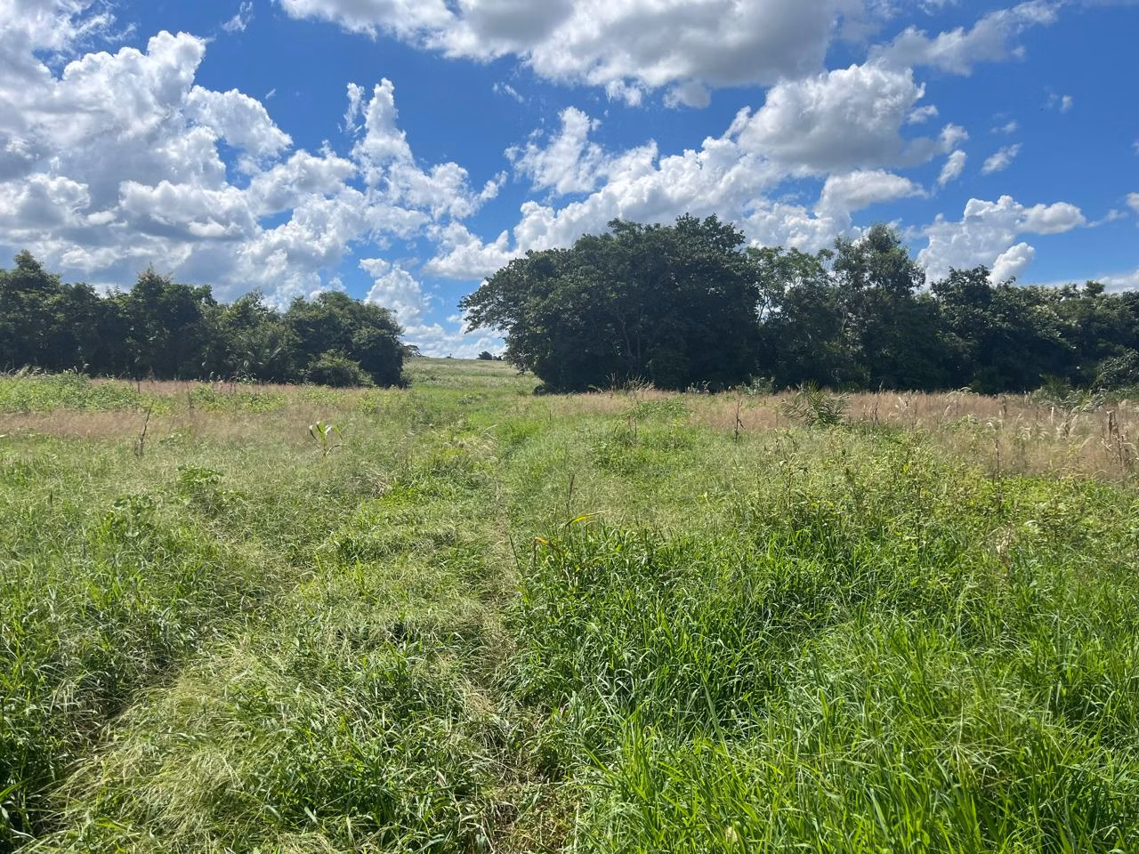 Fazenda à venda de 510 ha em Sidrolândia, MS