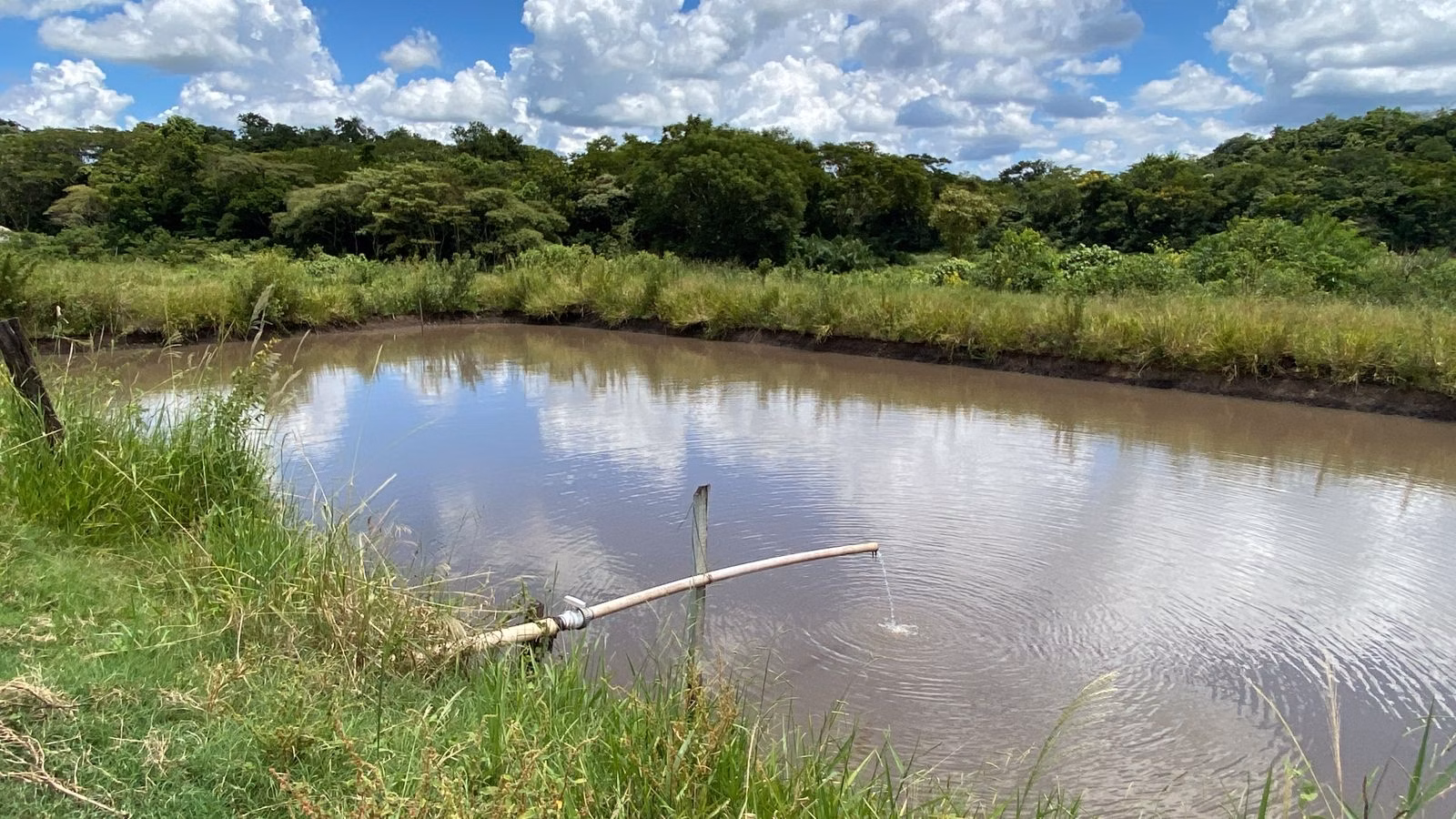 Fazenda à venda de 510 ha em Sidrolândia, MS
