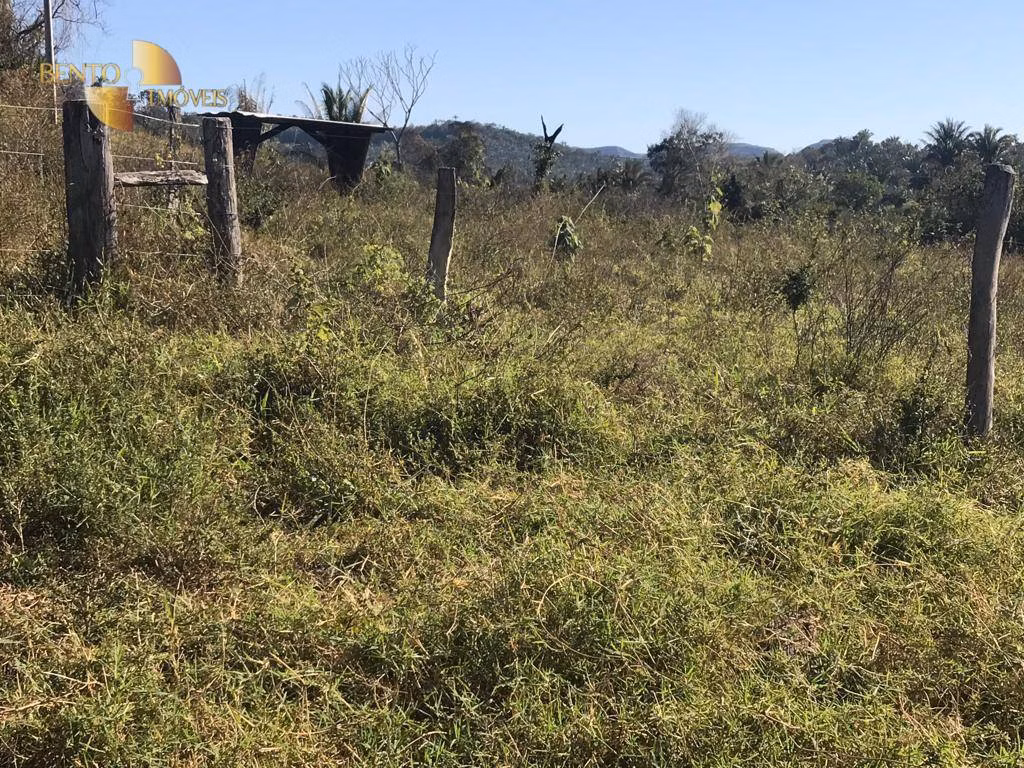Fazenda de 200 ha em Jaciara, MT