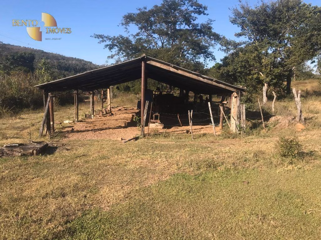 Fazenda de 200 ha em Jaciara, MT