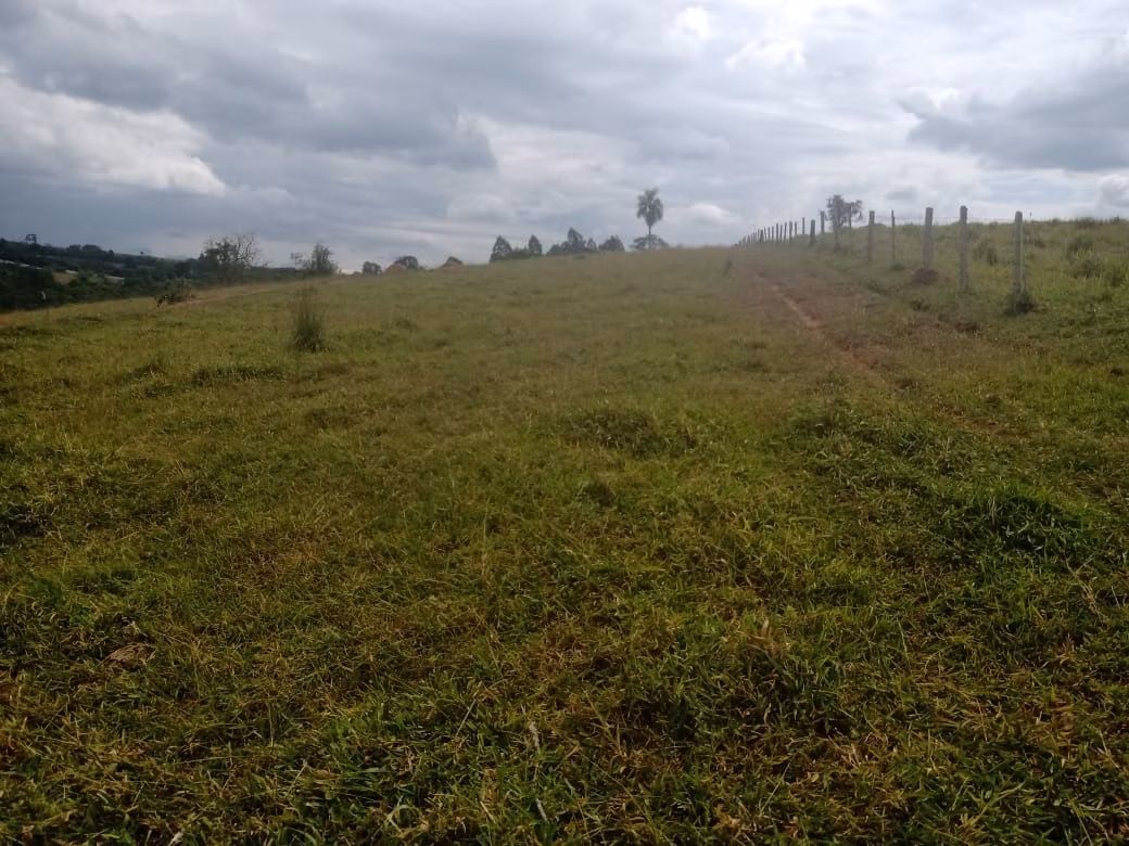 Small farm of 96 acres in Itapetininga, SP, Brazil
