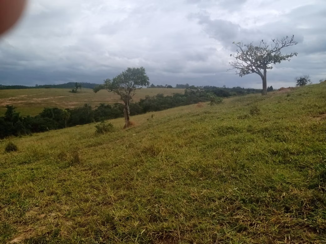 Small farm of 96 acres in Itapetininga, SP, Brazil
