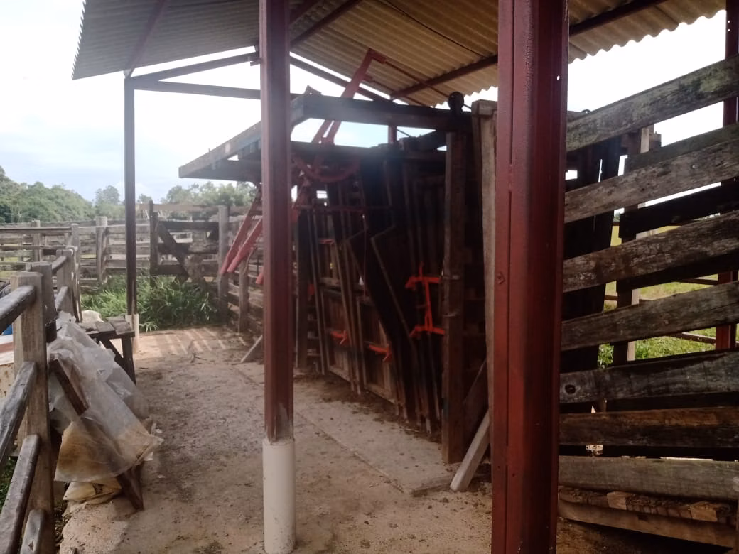 Small farm of 96 acres in Itapetininga, SP, Brazil