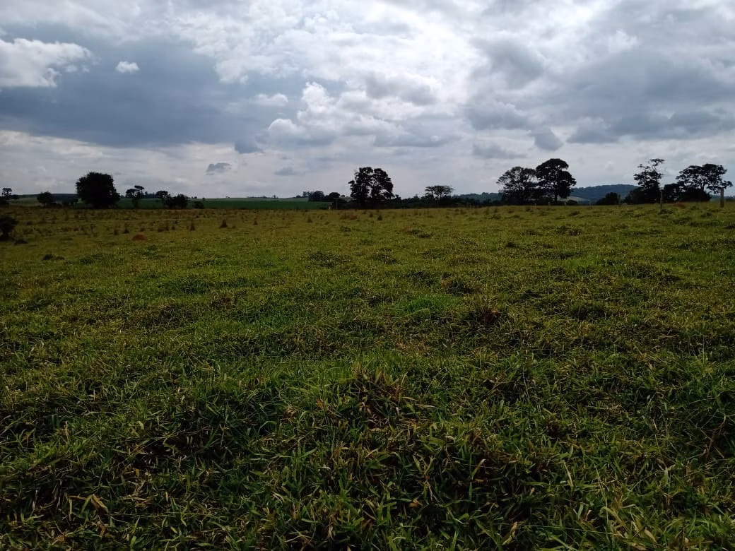 Small farm of 96 acres in Itapetininga, SP, Brazil