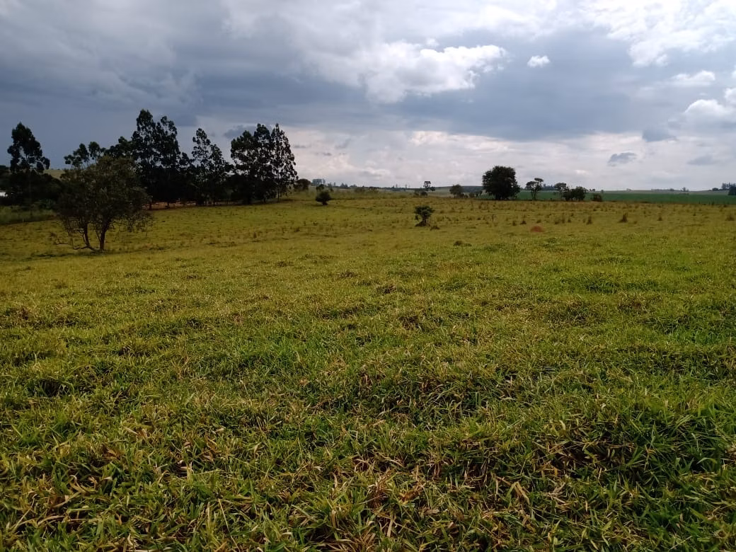 Small farm of 96 acres in Itapetininga, SP, Brazil