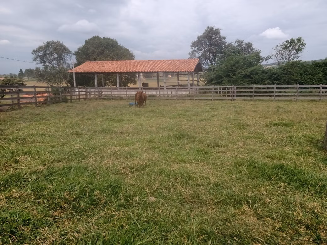 Small farm of 96 acres in Itapetininga, SP, Brazil