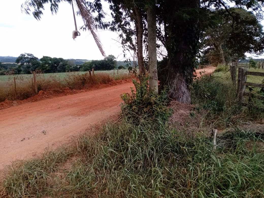 Small farm of 96 acres in Itapetininga, SP, Brazil