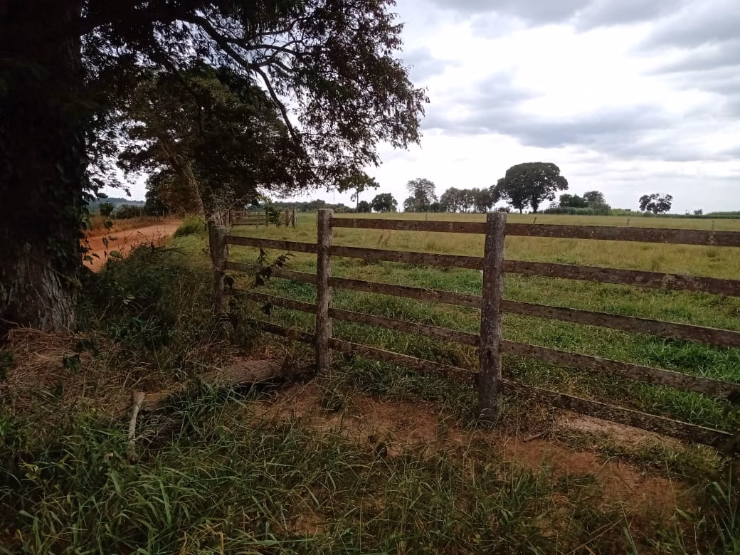Small farm of 96 acres in Itapetininga, SP, Brazil