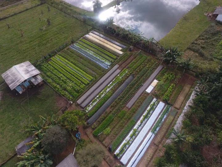 Chácara de 4.800 m² em Araricá, RS