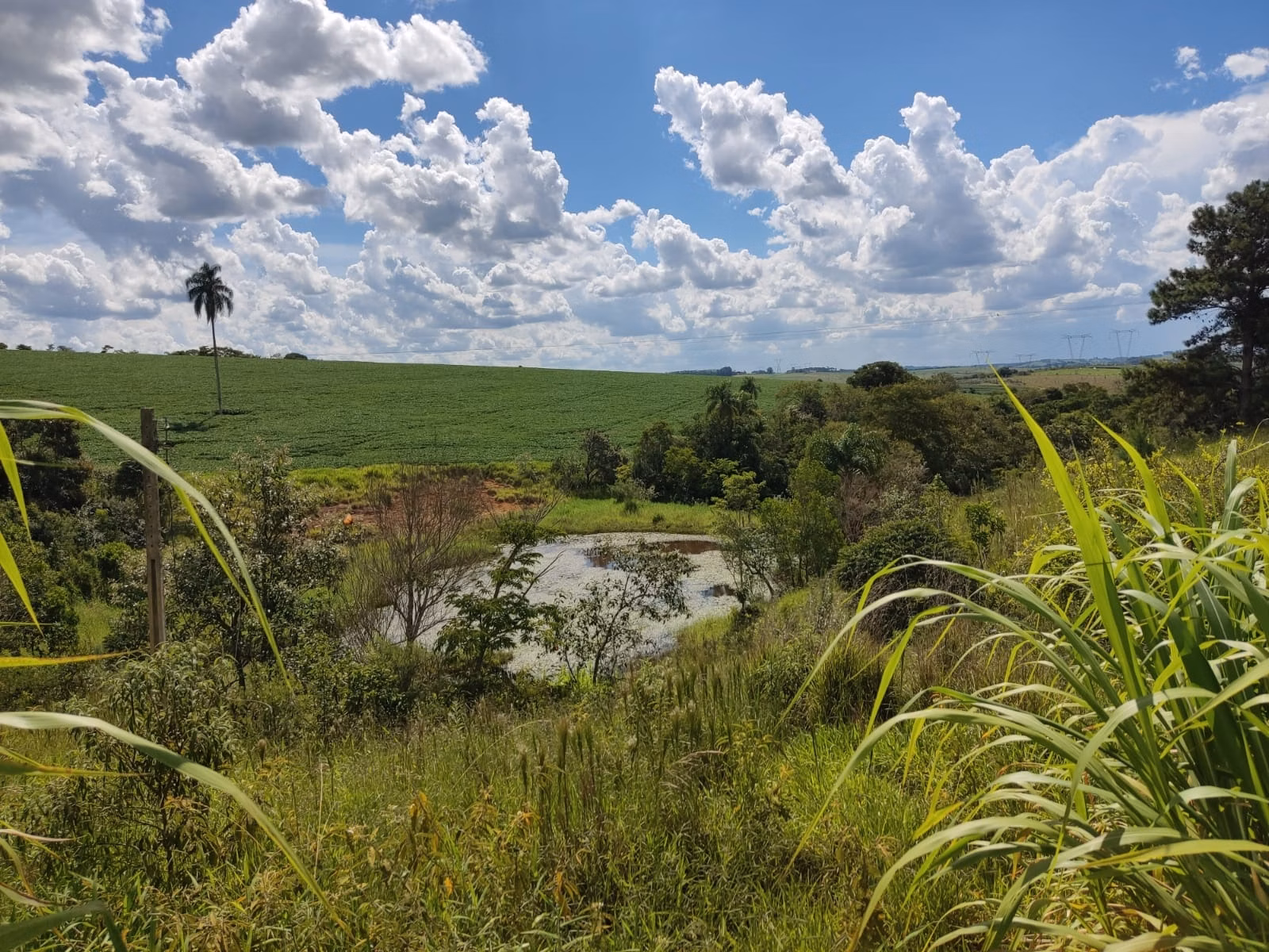 Sítio de 73 ha em São Miguel Arcanjo, SP