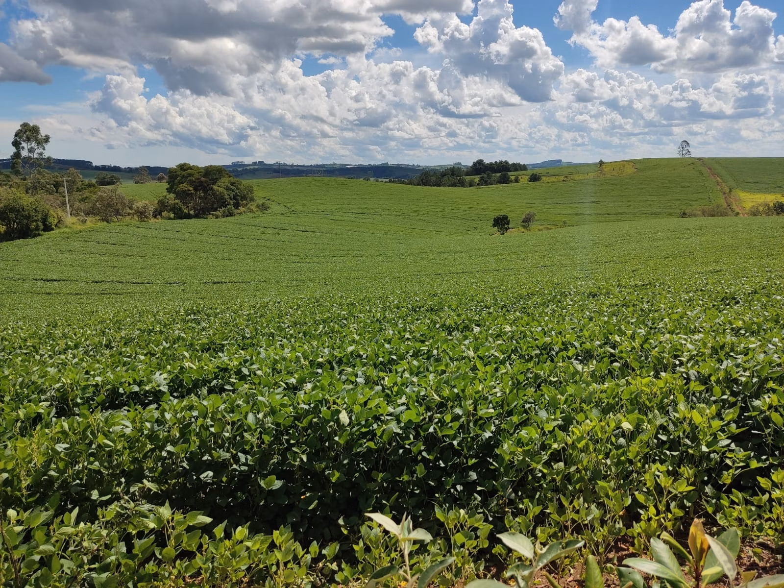 Sítio de 73 ha em São Miguel Arcanjo, SP
