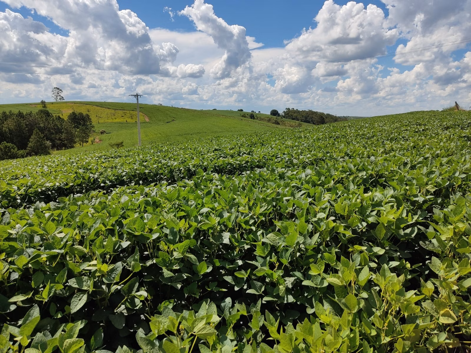 Small farm of 179 acres in São Miguel Arcanjo, SP, Brazil