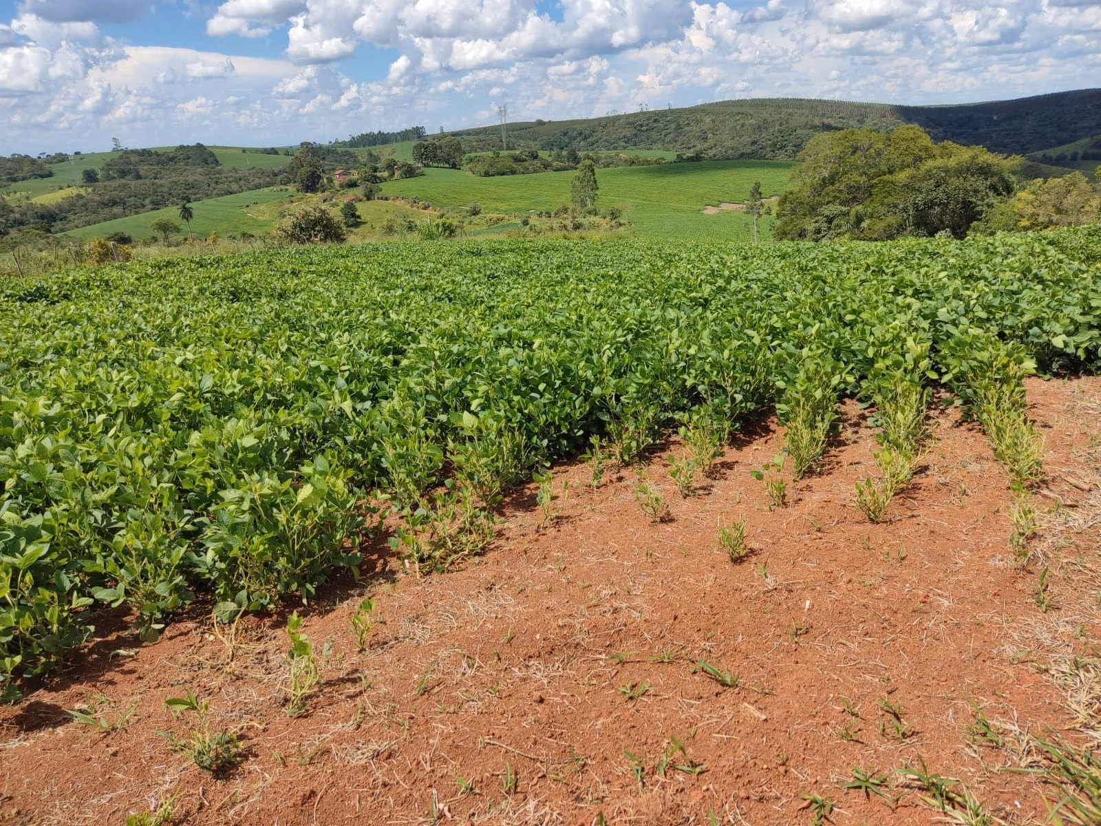 Small farm of 179 acres in São Miguel Arcanjo, SP, Brazil