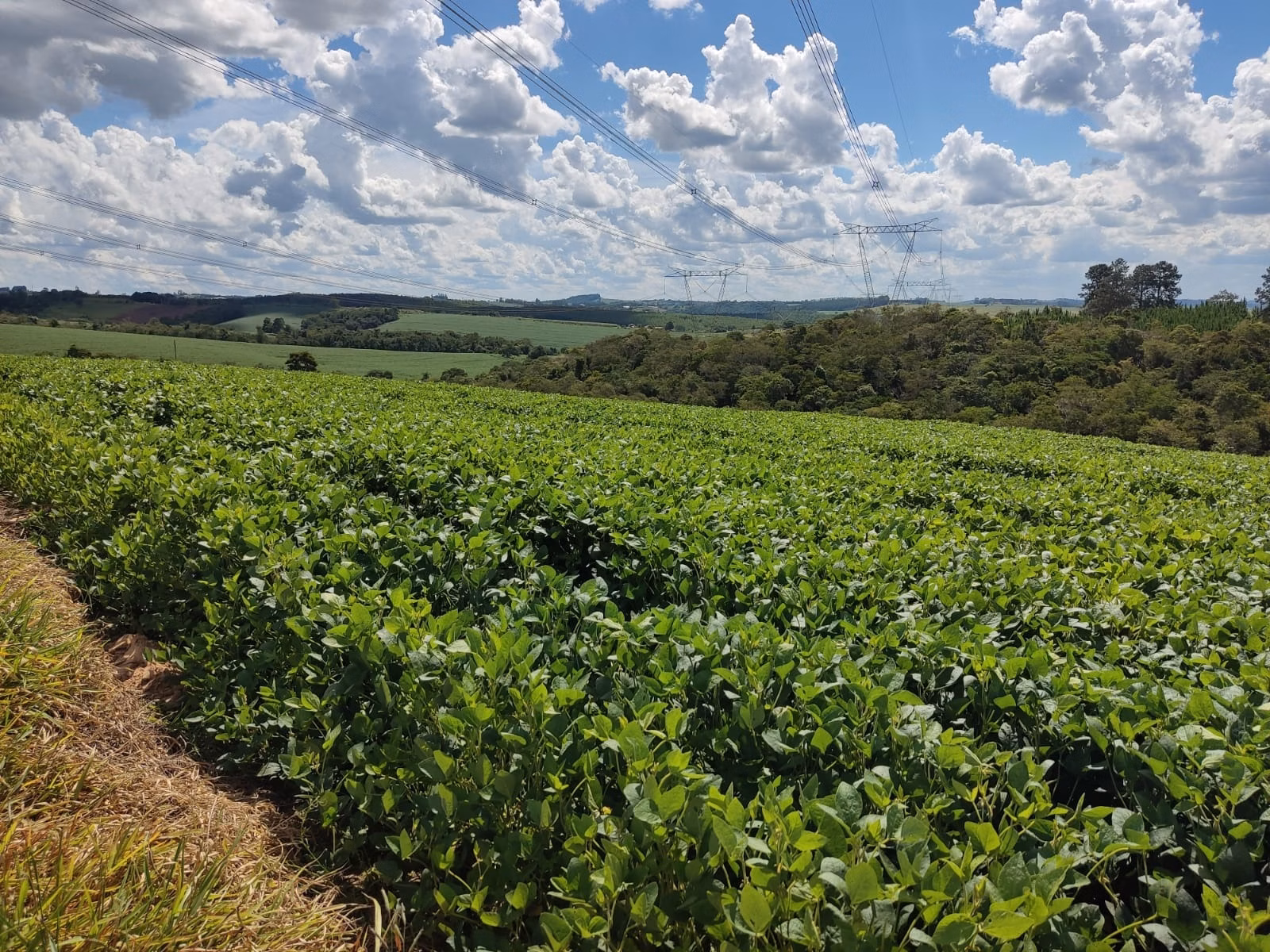 Sítio de 73 ha em São Miguel Arcanjo, SP