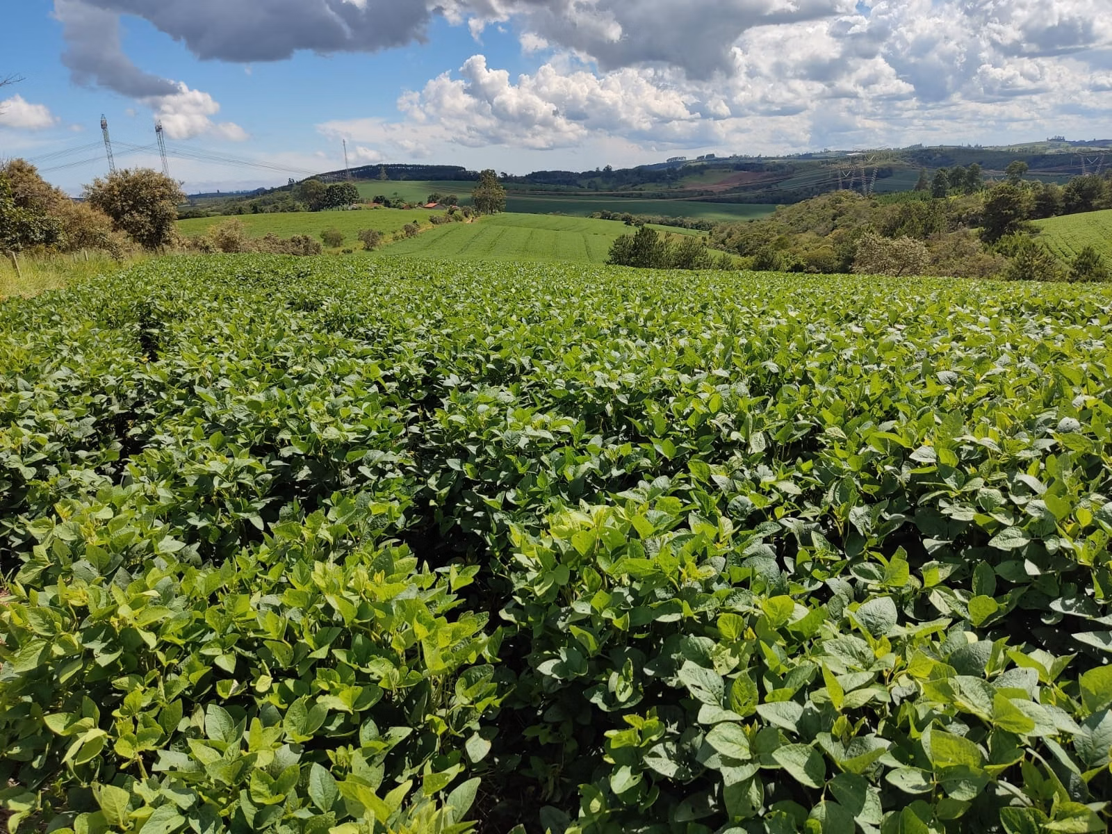Small farm of 179 acres in São Miguel Arcanjo, SP, Brazil