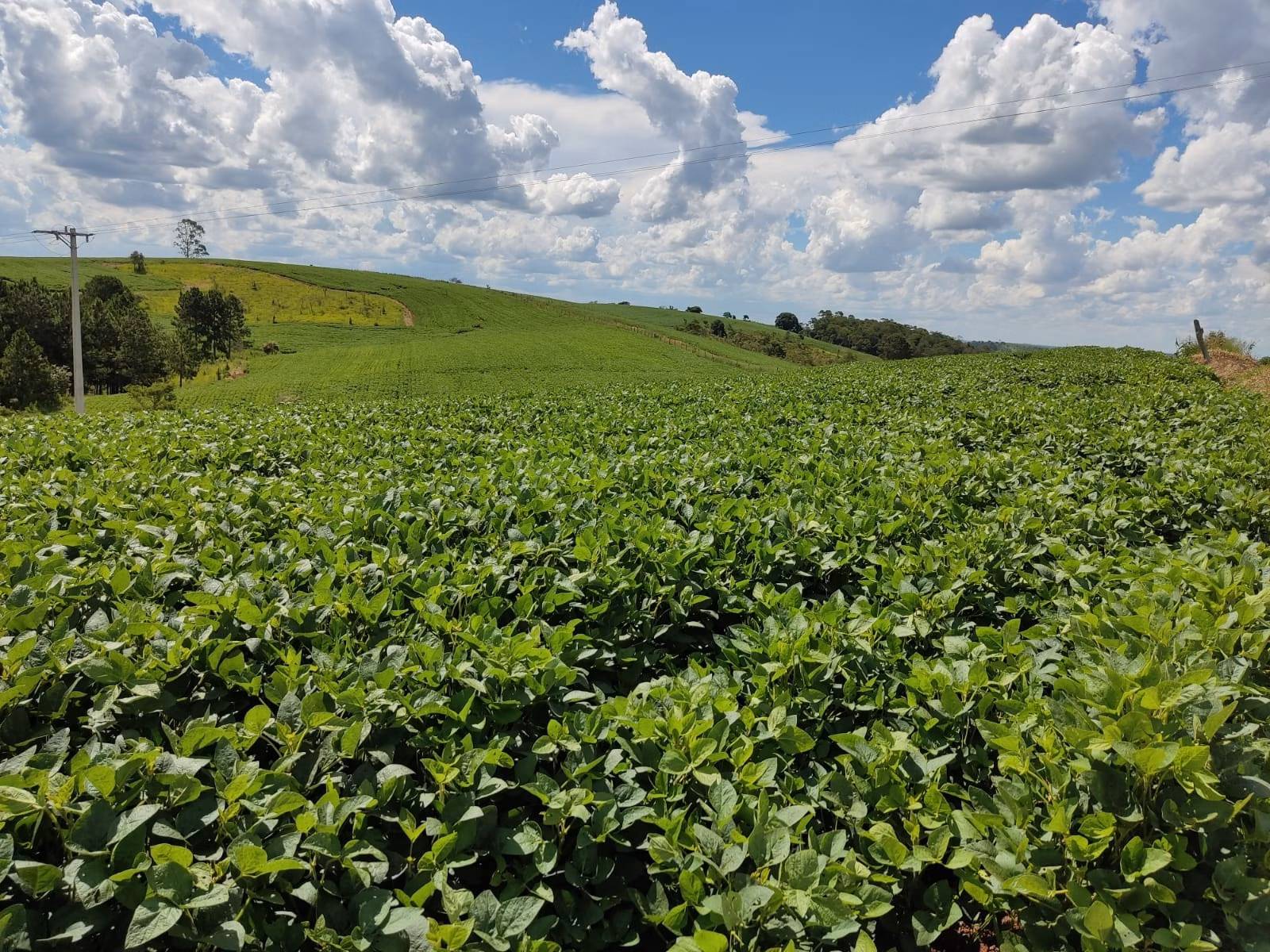 Small farm of 179 acres in São Miguel Arcanjo, SP, Brazil