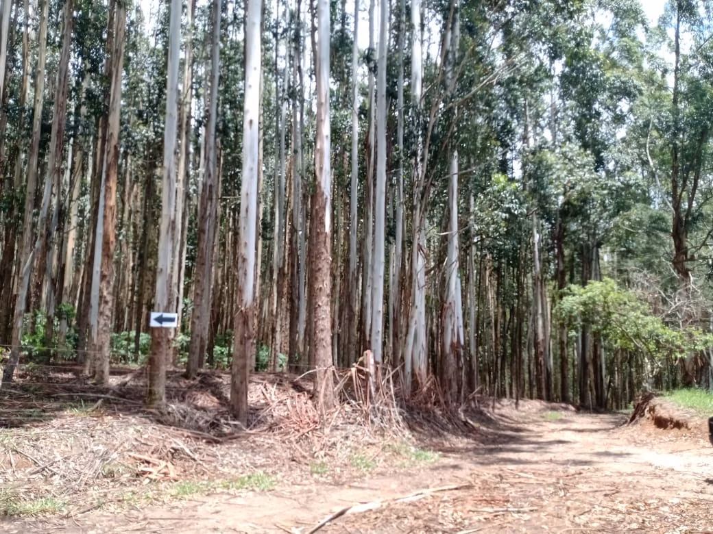 Terreno de 12 ha em Angatuba, SP