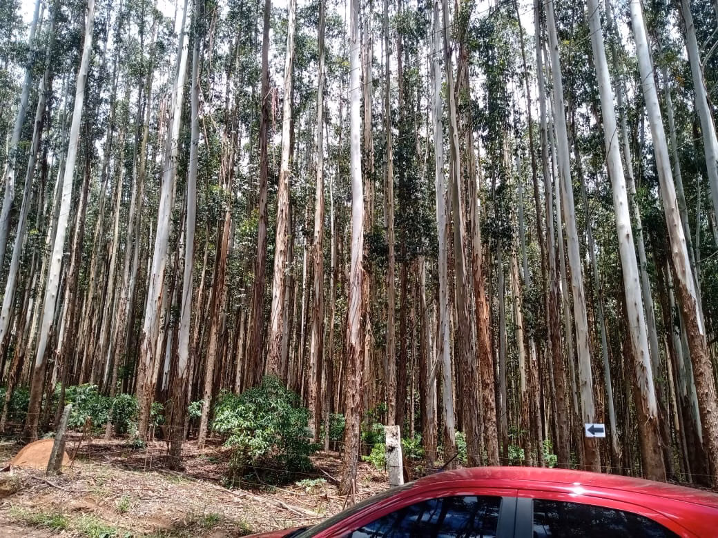 Terreno de 12 ha em Angatuba, SP