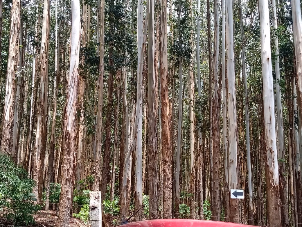 Terreno de 12 ha em Angatuba, SP