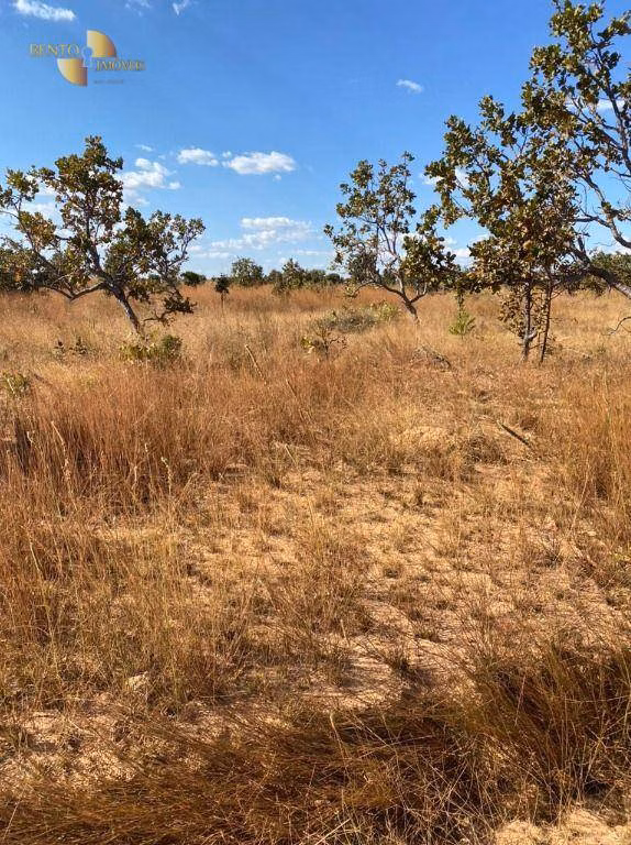 Farm of 4,942 acres in Paranatinga, MT, Brazil