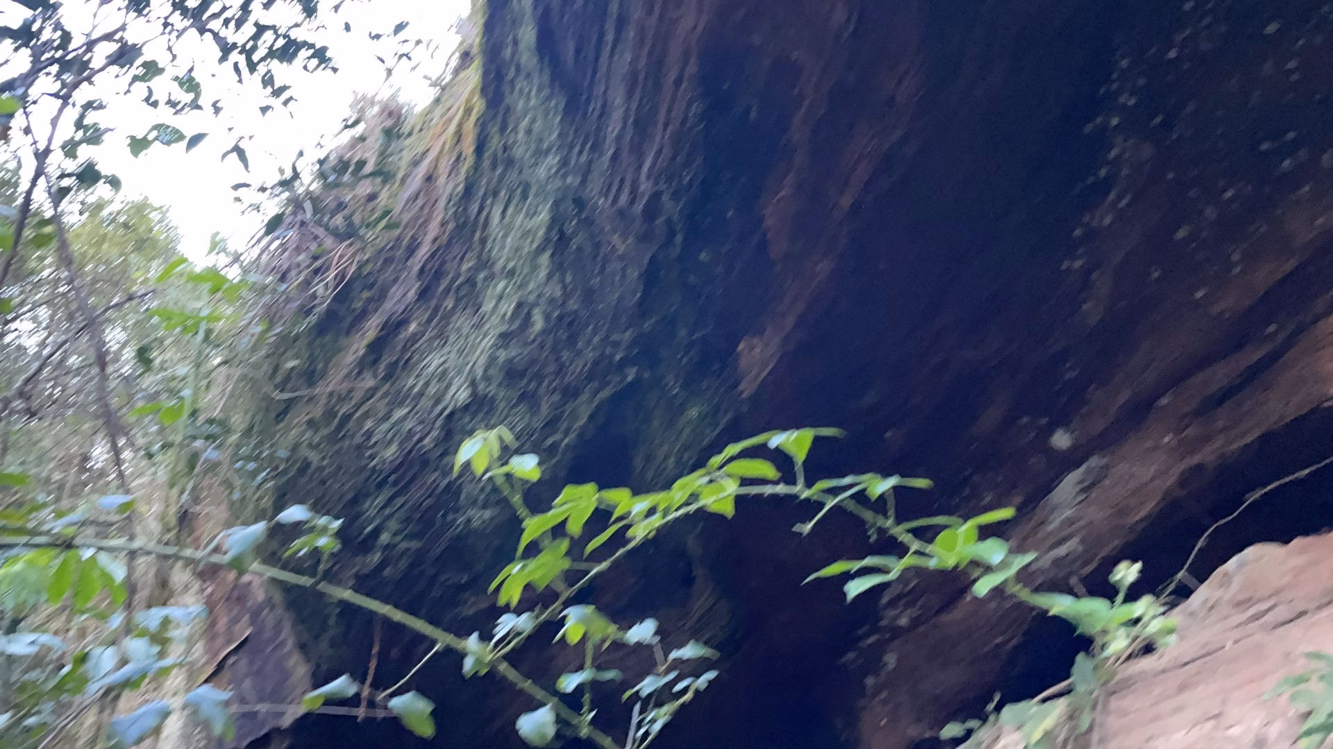 Chácara de 3 ha em Santo Antônio da Patrulha, RS