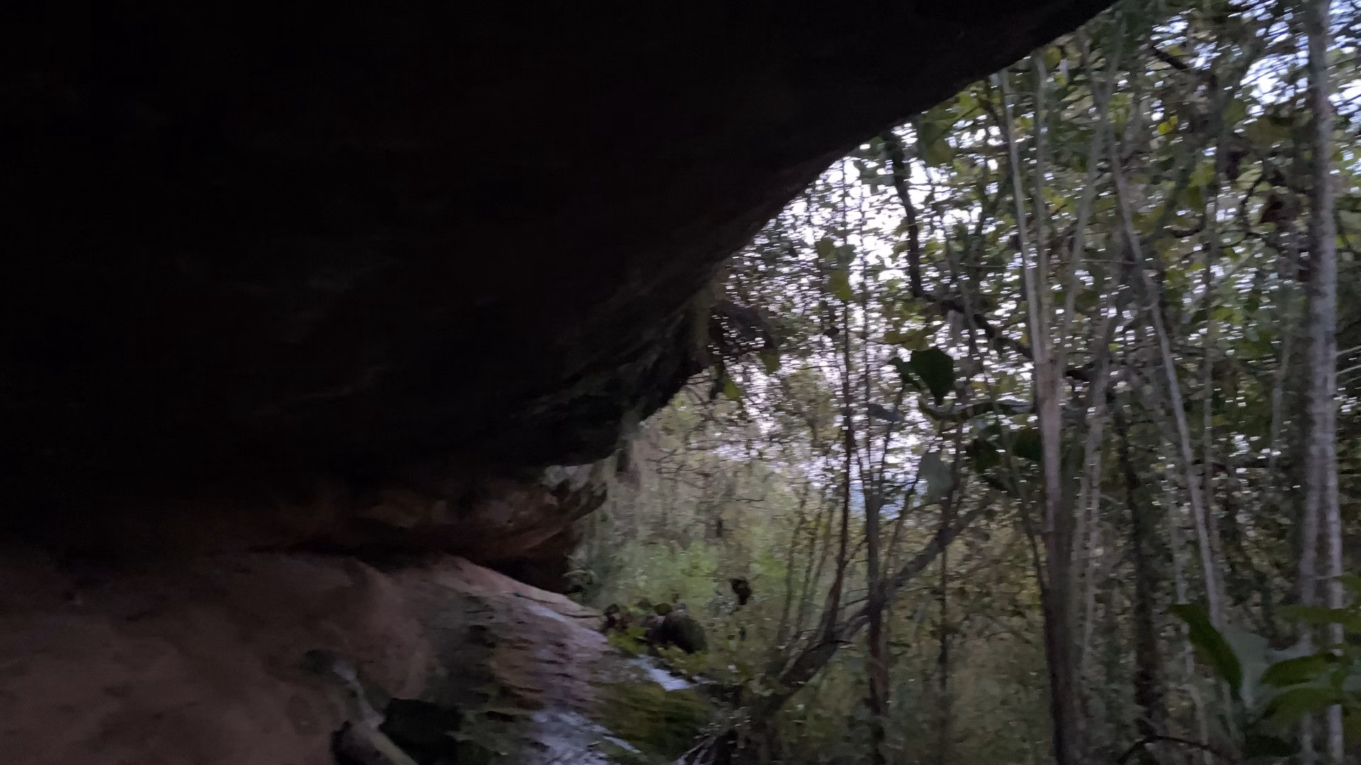 Chácara de 3 ha em Santo Antônio da Patrulha, RS