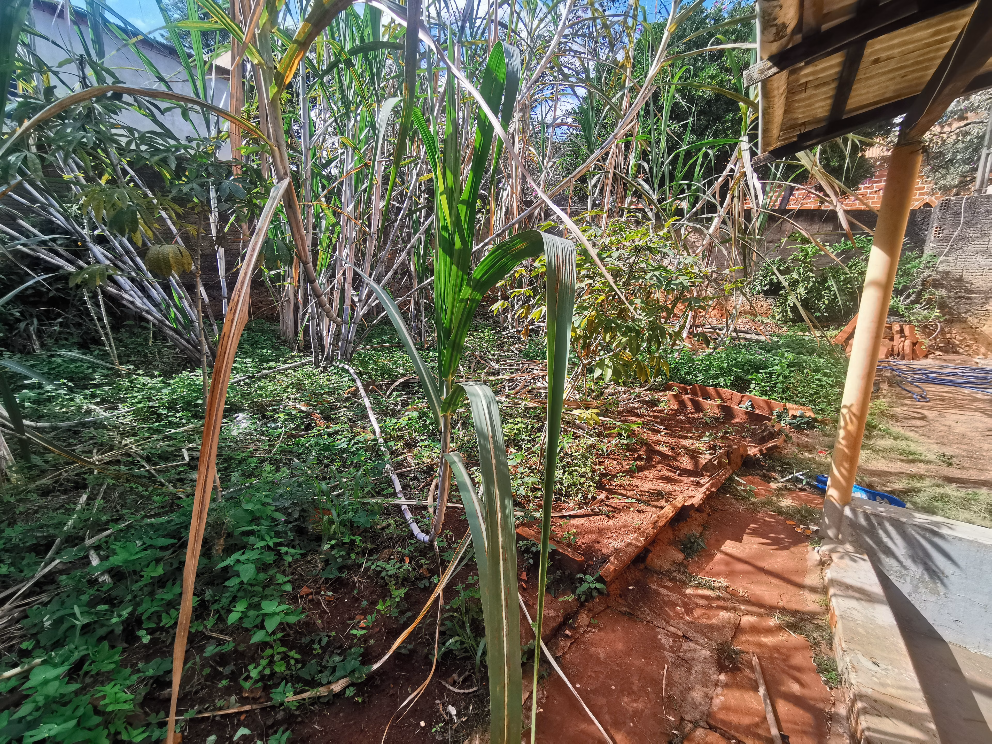 Chácara de 3.200 m² em Timburi, SP