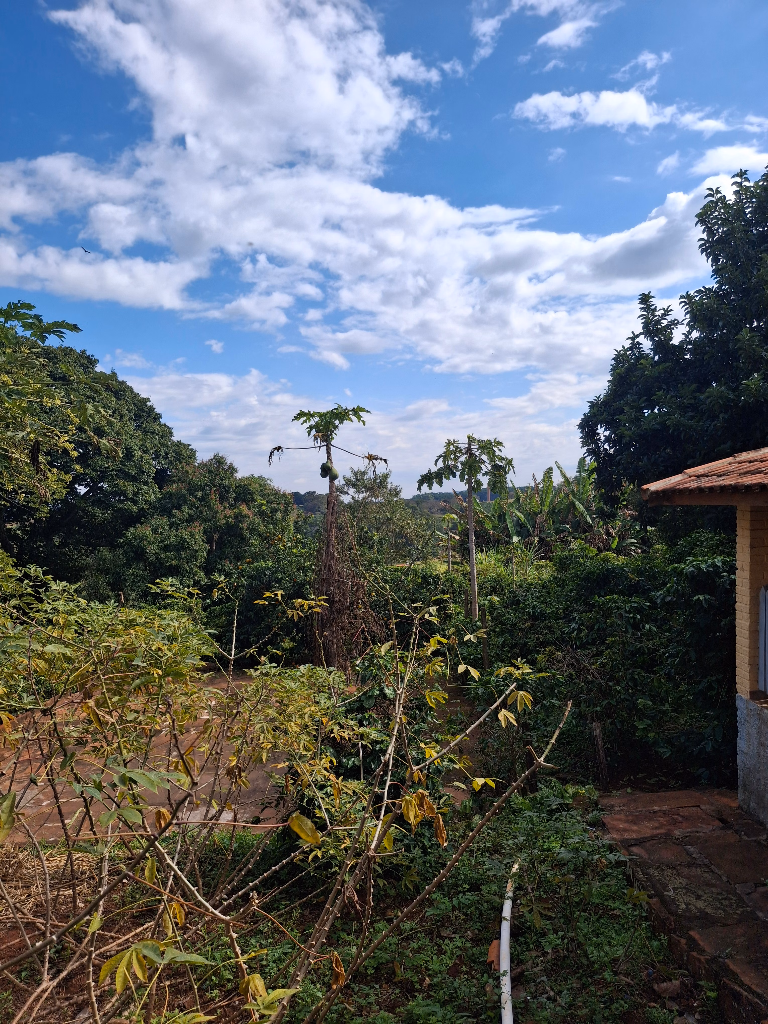 Chácara de 3.200 m² em Timburi, SP