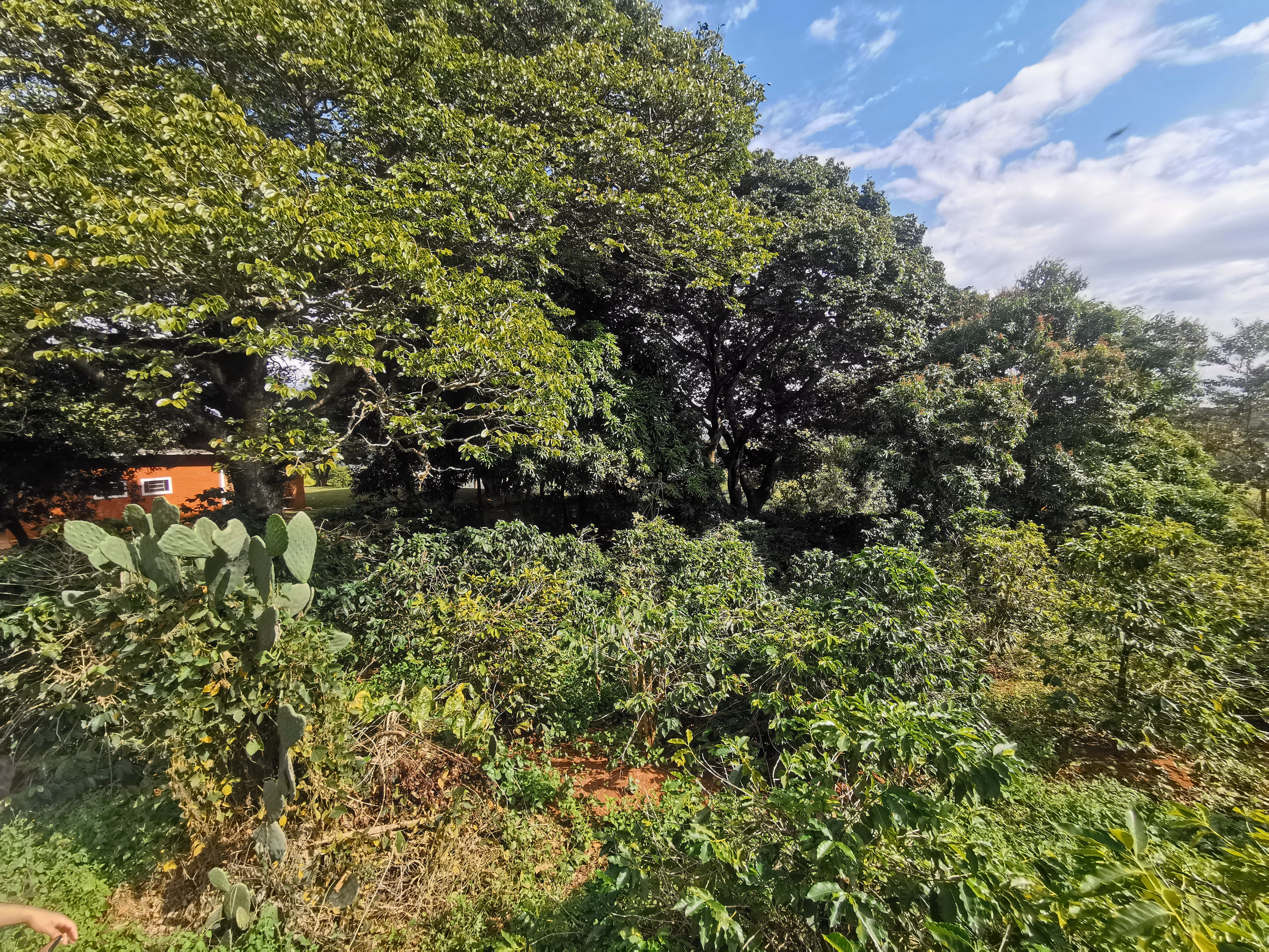 Chácara de 3.200 m² em Timburi, SP
