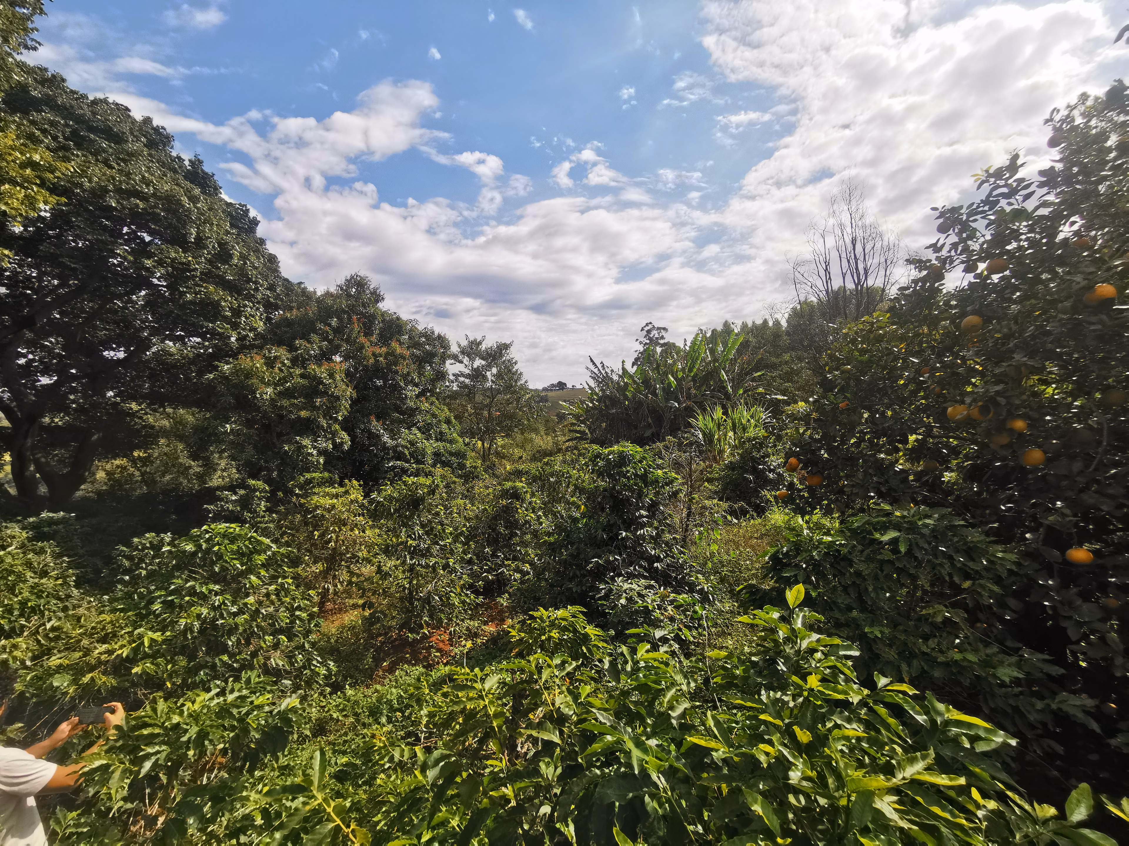 Chácara de 3.200 m² em Timburi, SP