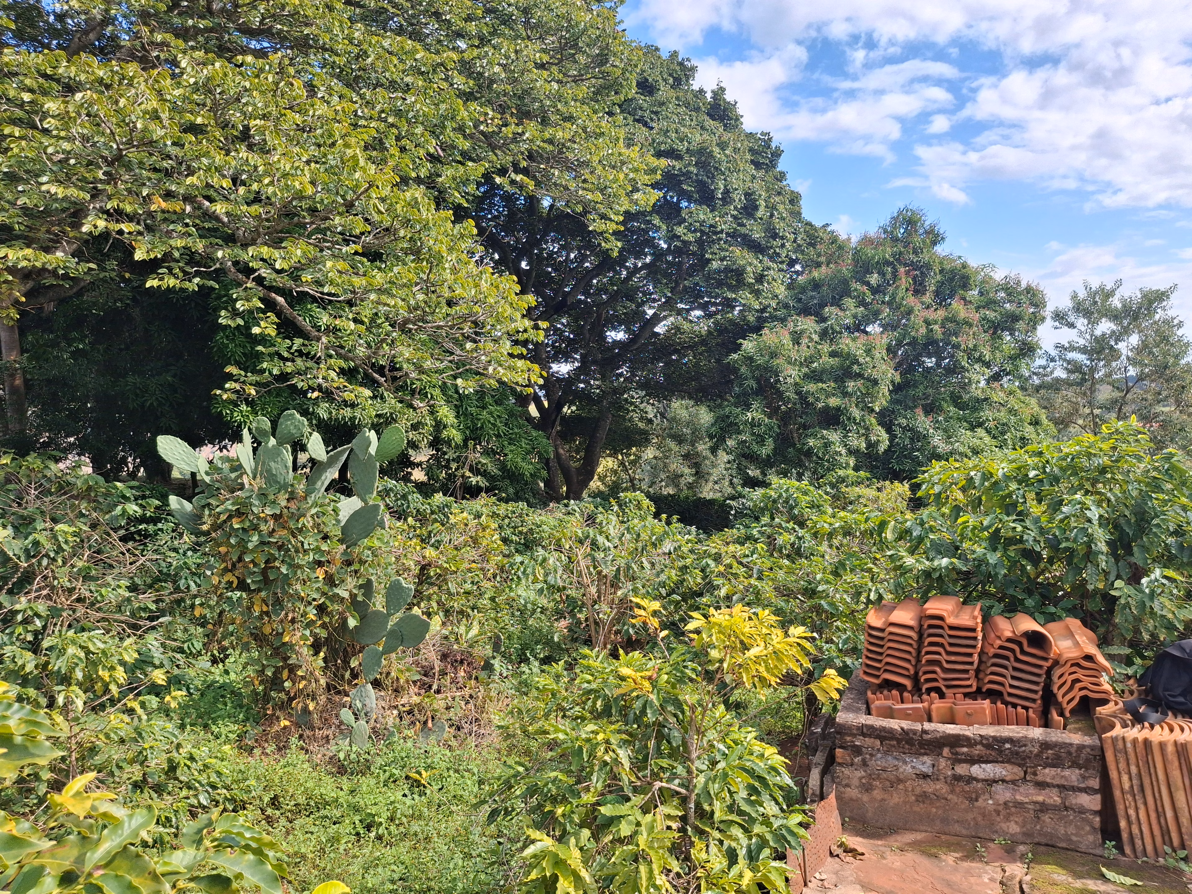 Chácara de 3.200 m² em Timburi, SP