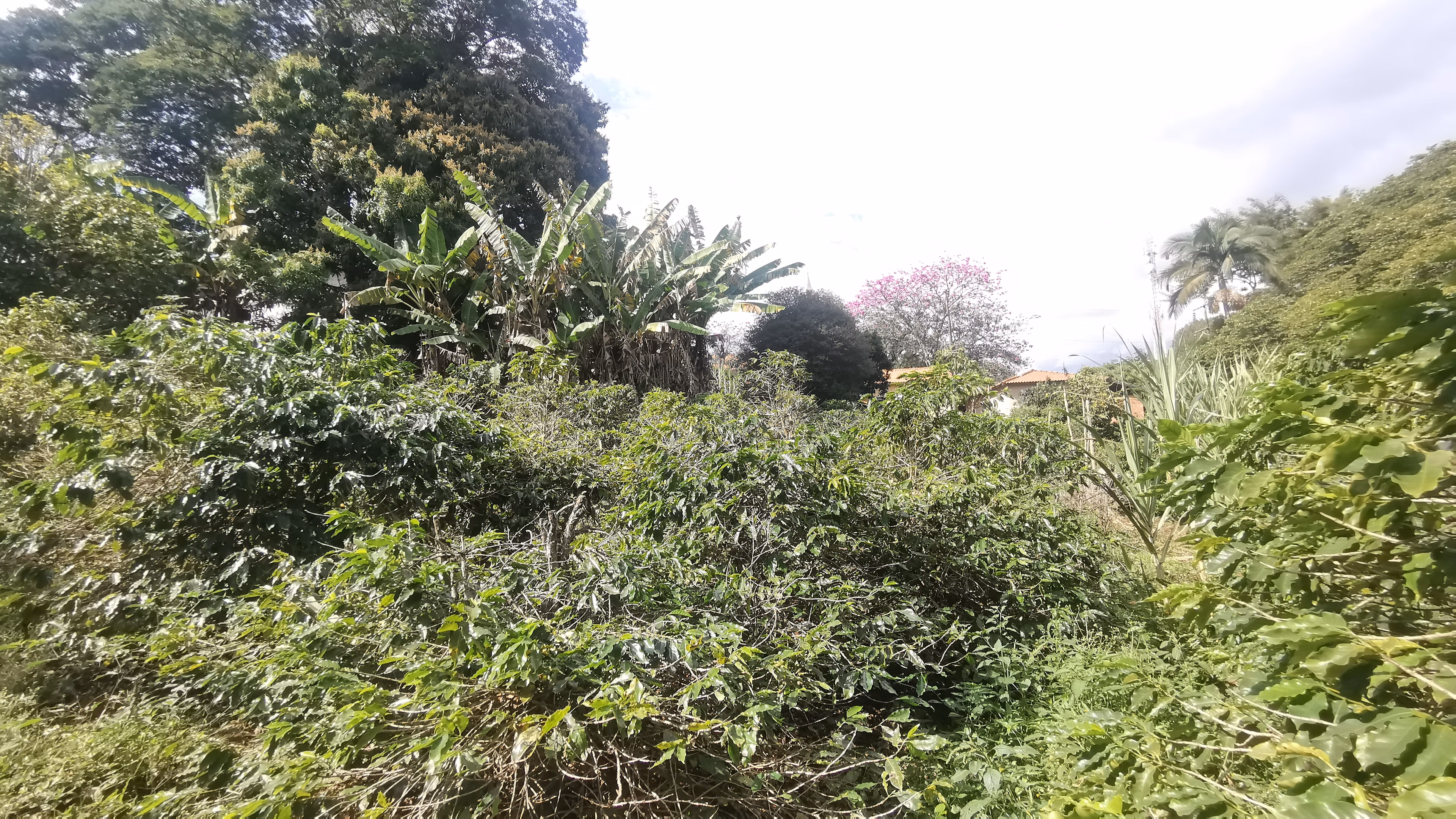 Chácara de 3.200 m² em Timburi, SP
