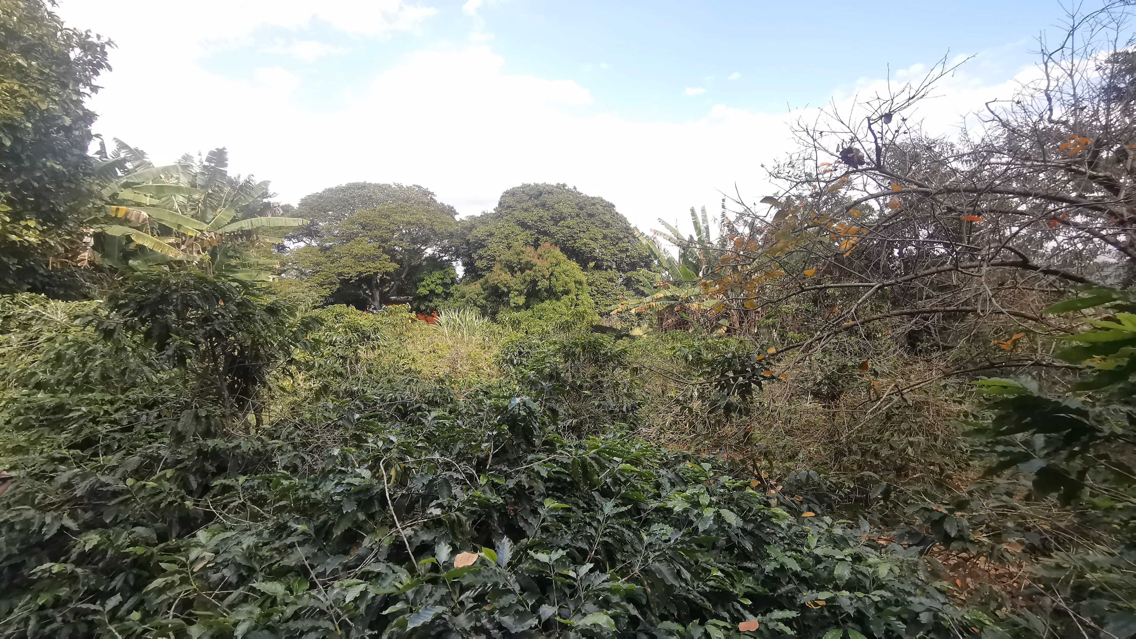 Chácara de 3.200 m² em Timburi, SP